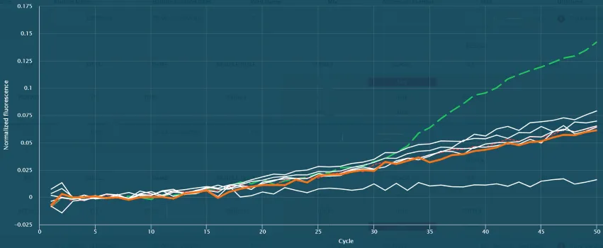 Linear Rises and **High Noise Artifacts**